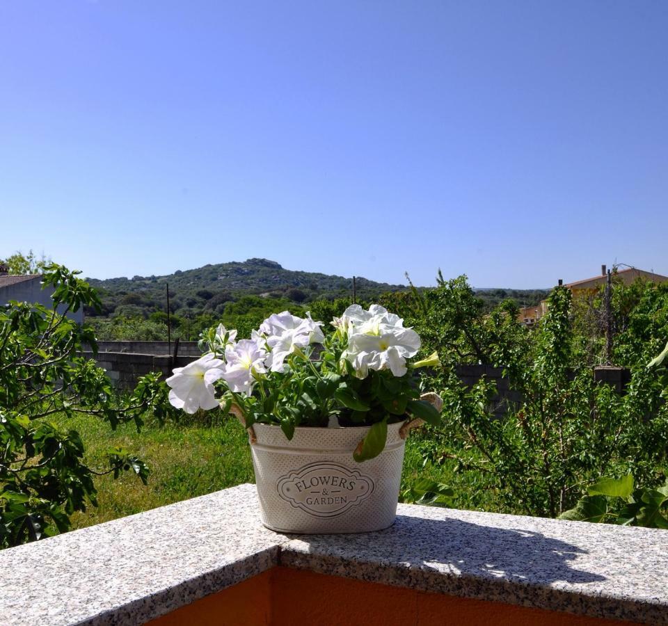 Casa Duminicheddha, Mare E Relax In Gallura Bassacutena Екстер'єр фото